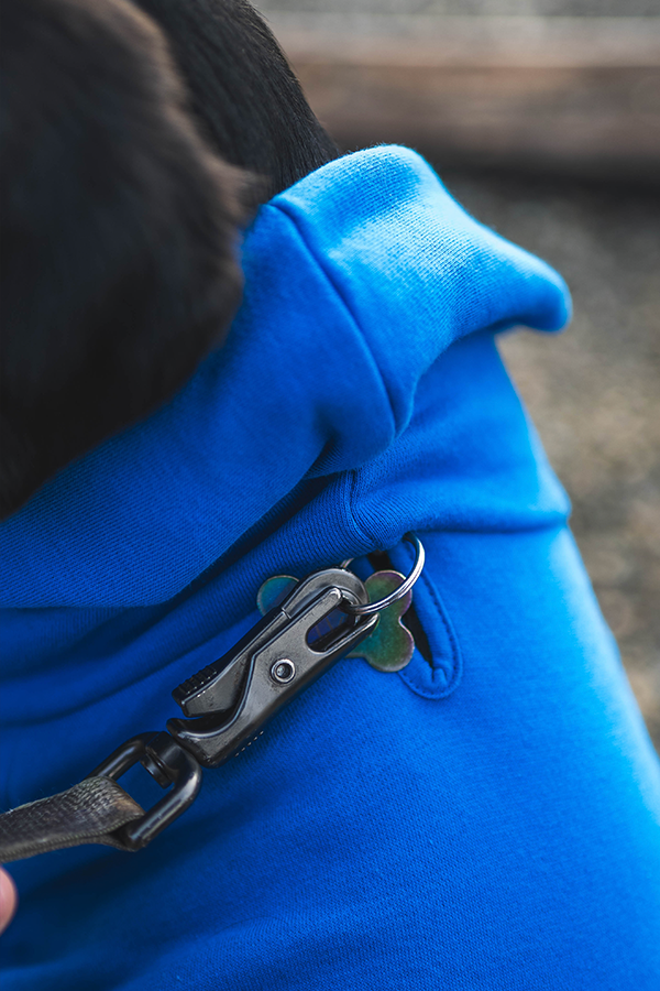Fallout Vault 101 Pet Hoodie - Image 10
