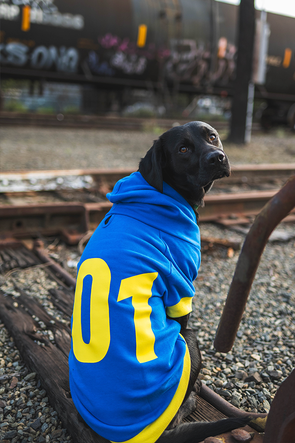 Fallout Vault 101 Pet Hoodie - Image 5