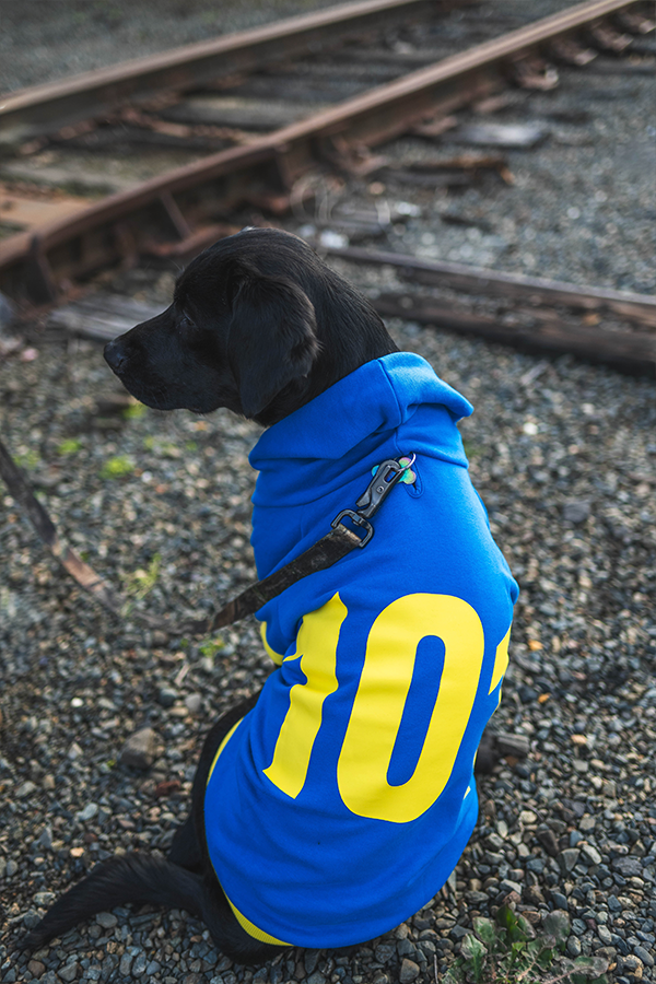 Fallout Vault 101 Pet Hoodie - Image 6