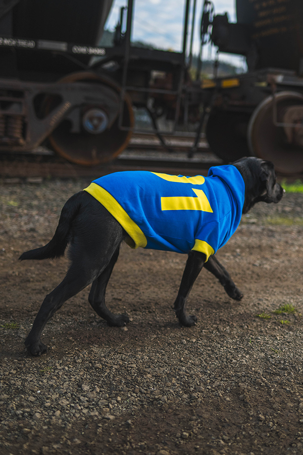 Fallout Vault 101 Pet Hoodie - Image 7